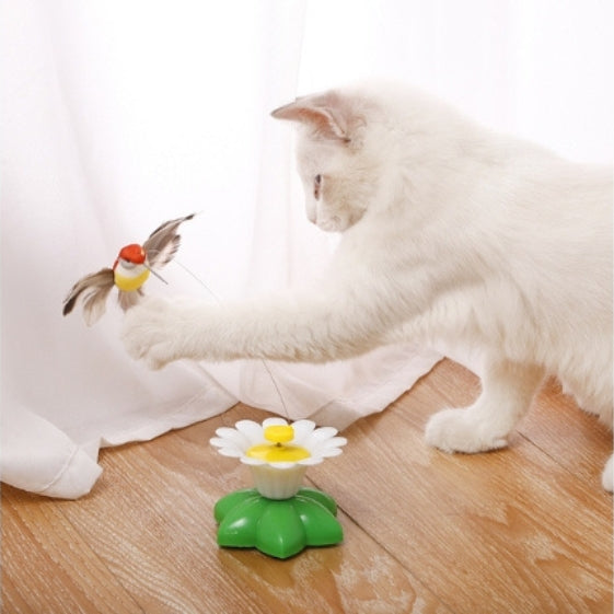 Interactive Cat Toy