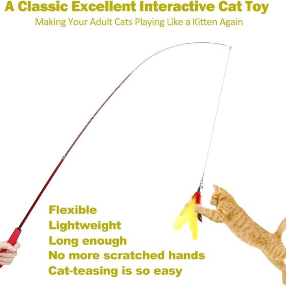 Interactive Cat Toys